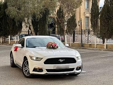 Ford mustang 2018 toy nişan və digər tədbirlər üçün sifariş edə lalafo.az -da Ford mustang 2018 toy nişan və digər tədbirlər üçün sifariş edə