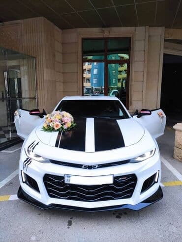 Elcin: Camaro masini toy nişan və digər tədbirlər üçün sifariş edə bilərsiz lalafo.az -da Elcin: Camaro masini toy nişan və digər tədbirlər üçün sifariş edə bilərsiz